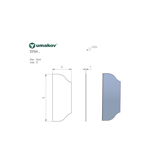 Štítok bránový hladký bez otvorov 265x105, t2mm - detail 2 - detail 2